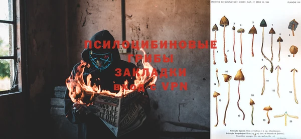 бошки Белокуриха