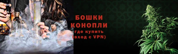 прущие грибы Белоозёрский