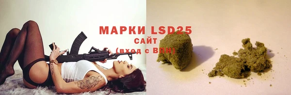 прущие грибы Белоозёрский