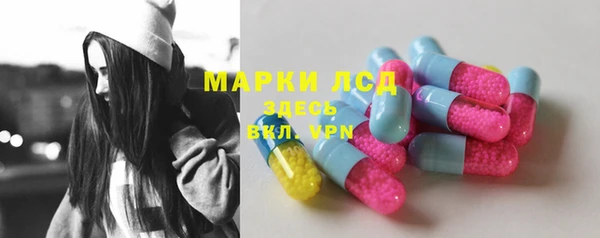 прущие грибы Белоозёрский