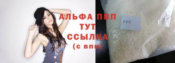 бошки Белокуриха