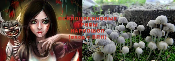 прущие грибы Белоозёрский