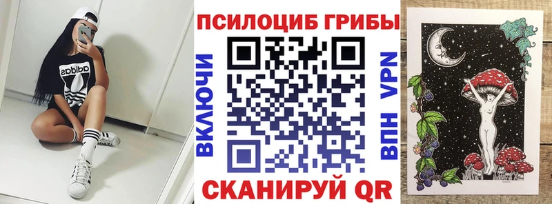 купить наркоту  Серов  Псилоцибиновые грибы ЛСД 